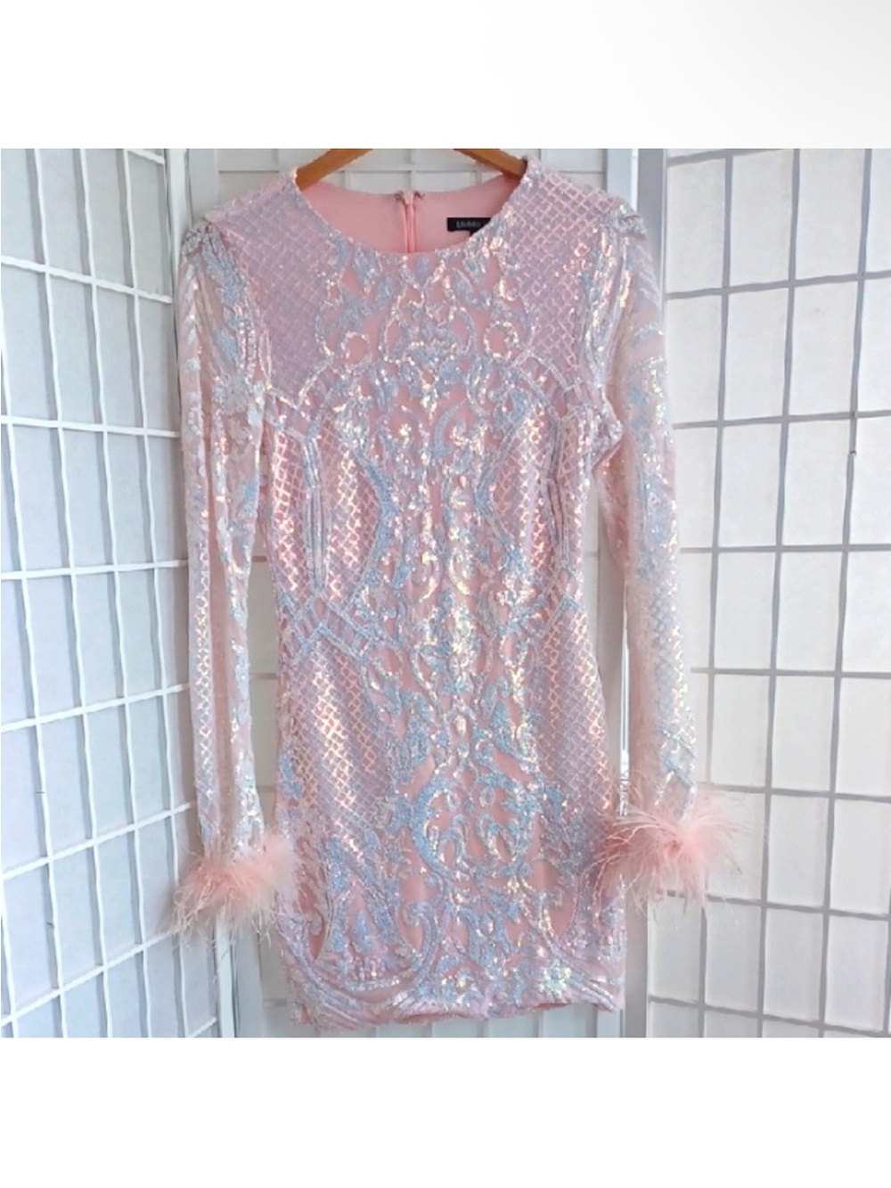 Sequined Dress With Feathers